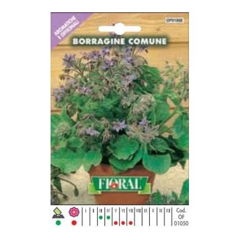 Semences de plantes aromatiques et officinales en sachet pour jardinier amateur (1/5)