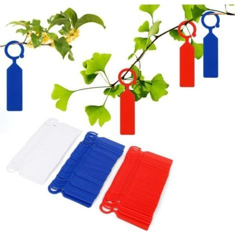 Etiquettes de Plantes - Boucle Anneau épaissie - 300 pièces (1/4)