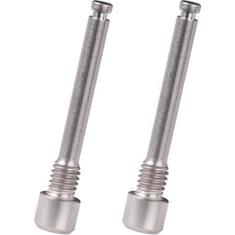 Boulons en Titane M4 pour Plaquette de Frein à Disque de VéLo Inserts de Goupille FiletéE Vis pour éTrier à Disque Hydraulique XT R XT-Titane (1/2)