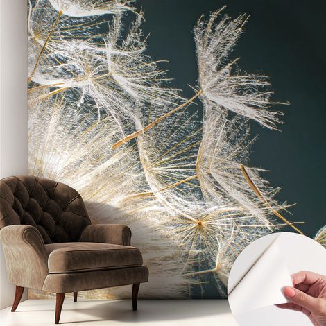 Tapete Selbstklebend - abwaschbar - trendige Wanddeko - elegant Fototapete Luftiger Pusteblume 250x250 cm (1/5)