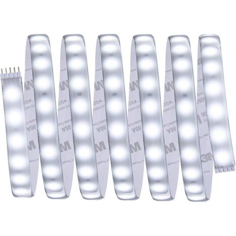 70548 Bande LED avec prise/prise 24 V 2.5 m blanc lumière du jour 2.5 m Y688932 (1/3)