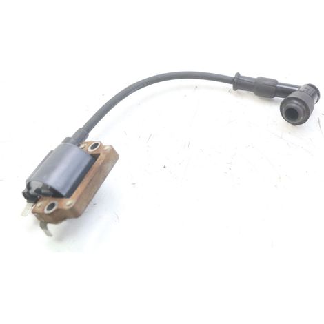 [REFURBISHED] BOBINE HONDA FES PANTHEON 2T 125 1998 - 2002 (1/4)