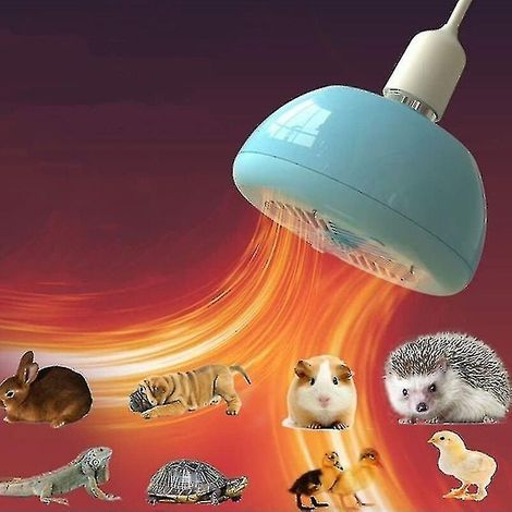 Chauffage professionnel pour animaux de compagnie, chauffage pour poulailler, 3 modes de puissance réglables et fonction lumière (1/5)