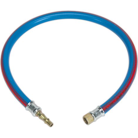 Sealey Air Leader Hose 600mm x 10mm With Tailpiece And 1/4""BSP Union AH2R/38