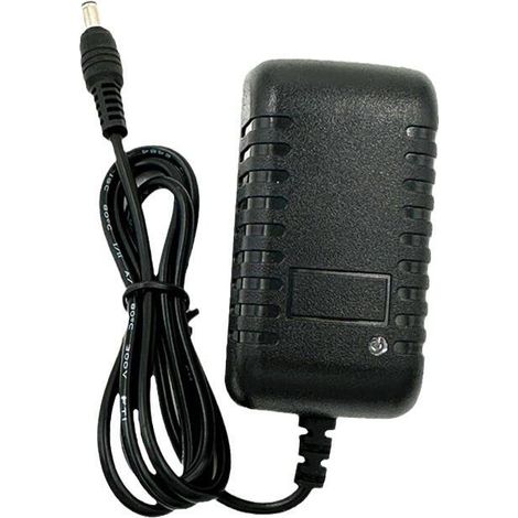 Chargeur de voiture électrique pour enfants - Chargeur de batterie au plomb, 12 V/1000 mA, fiable (1/4)