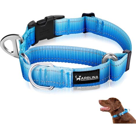 Collier Martingale pour Chien, Collier Réfléchissant Anti Traction pour Grands, Moyens et Petits Chiens, Collier Chien en Nylon pour Whippets, Greyhounds, Saluki, American Bully(Bleu, S) (1/5)