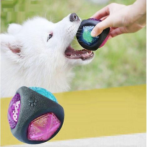 Jouet pour chien - Balle élastique lumineuse résistante aux morsures (1/5)