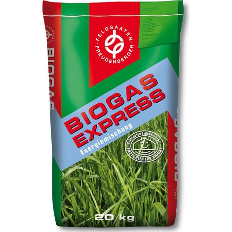 MehrGras BG 110 Stangenbohnenmix ha Pack inkl RF 60 Impfmittel für Mais-Gemenge
