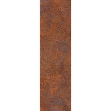 VETRO Glasscheibe CORTEN B 515 x H 1800 mm Motivdruck