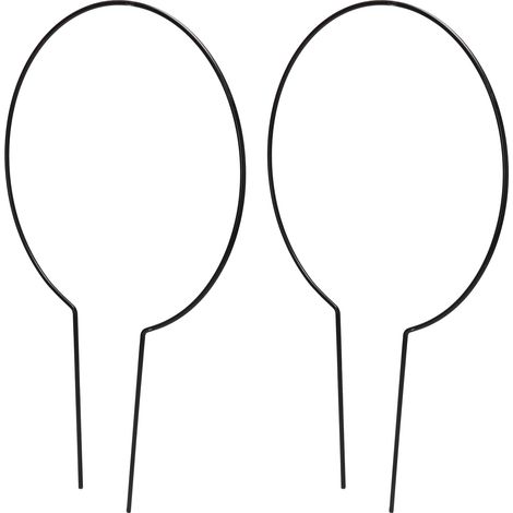 Set mit 2 Pflanzenstützen aus Eisen für Kletterpflanzen, Rankgitter für Töpfe, Efeu-Stütze (1/5)