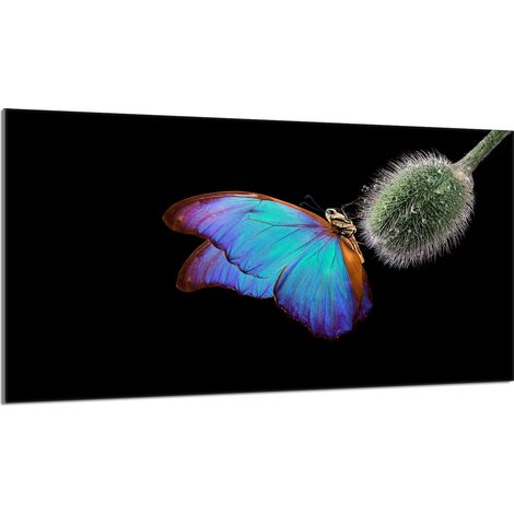 Piastra protettiva in vetro per stufa 90x52 Butterfly (1/5)