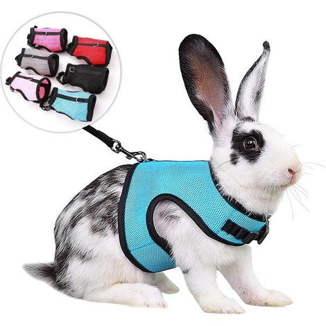 2 harnais pour lapins, cochons d'Inde et petits animaux avec laisse élastique et gilet souple pour les promenades (1/5)