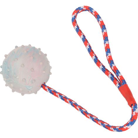 Balle à mâcher en caoutchouc avec corde pour chiots, jouet de dentition pour chiens de petite et moyenne taille (1/5)