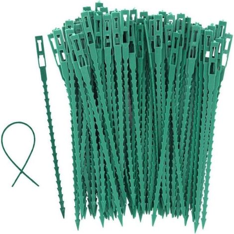 100 tuteurs à tomates, arbres et attaches de jardin - Attaches en plastique réutilisables pour le jardinage, vertes (1/3)