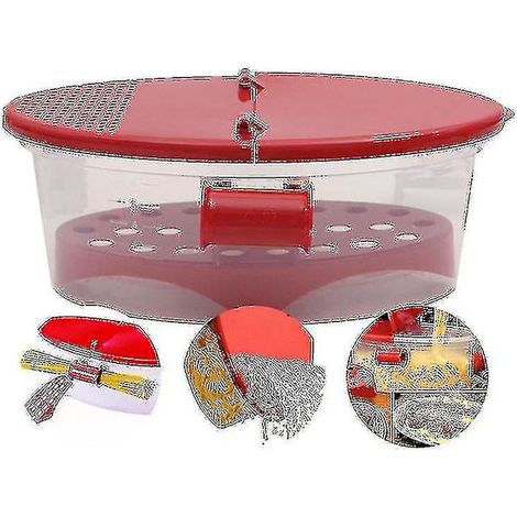 Filiyano-Boîte à nouilles micro-ondable, barquette à pâtes micro-ondable en plastique transparent (hy) (1/4)