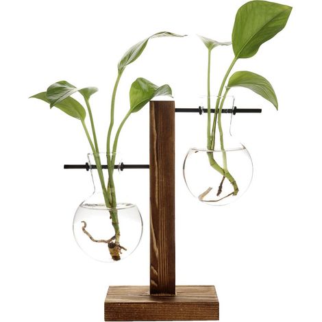 Vase Hydroponique - Vase en Verre avec Support en Bois - Pour Plantes d'Intérieur - Bureau Maison Décoration - 1 Pièce (1/5)