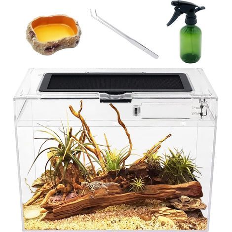 Glas-Terrarium 30,5 x 17,8 x 22,9 cm mit Schiebetür und Drahtschlitz für Reptilien und Amphibien (1/5)