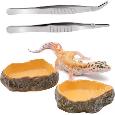 bols à eau pour terrarium, bols pour reptiles avec pinces, gamelles pour terrarium, accessoires pour tortues, lézards, caméléons, tortues (1/4)