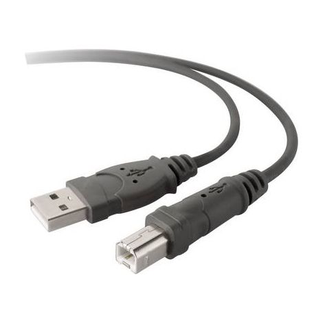 Belkin Câble USB USB 2.0 USB-A mâle, USB-B mâle 3.00 m gris F3U133b10 (1/2)