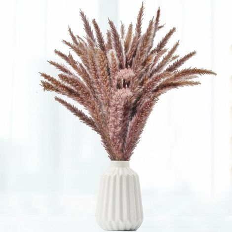 Dried Pampas Grass Decoration Set of 30, Decorative Flower Bouquet for Home Vase, Pampas Feather Grass 58cm Decorative Plant Decoration Table Bedroom Balcony Wedding Hotel (Brown) (1/5)