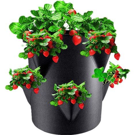 Sac De Plantation Fraises, Sac De Culture Potager Pomme De Terre, 45 X 35 Cm, Plantation pour Fraises Et Petits Légumes - pour Jardins, Balcons, Plantess, pour Fraises, Ail, Herbes (1/5)