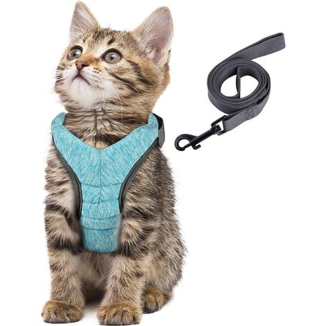 Harnais Chat Harnais Petit Chien et Chiot, Laisse Harnais Chaton Réglable, Gilet Respirant Sécurité Balade Amorti et Anti-évasion, pour Chats, Chiots et Lapins (Vert-S)-Fei Yu (1/5)