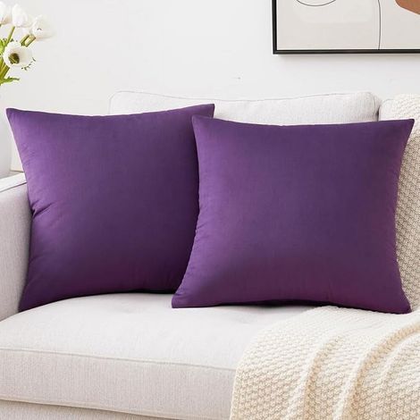 Deux housses de coussin en velours doux, housses de coussin carrées décoratives de couleur unie, convenant aux canapés, lits, bancs, 16x16 pouces. (1/5)