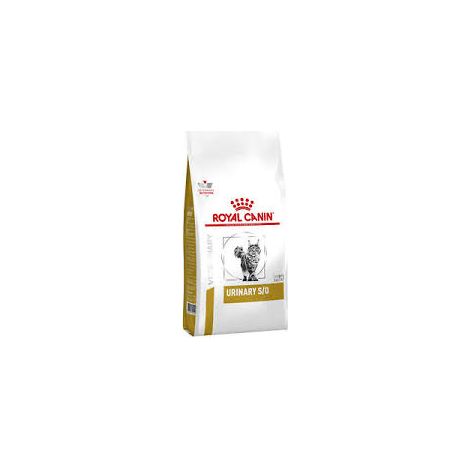 Infection urinaire, alimentation modérée, félin, 7 kg