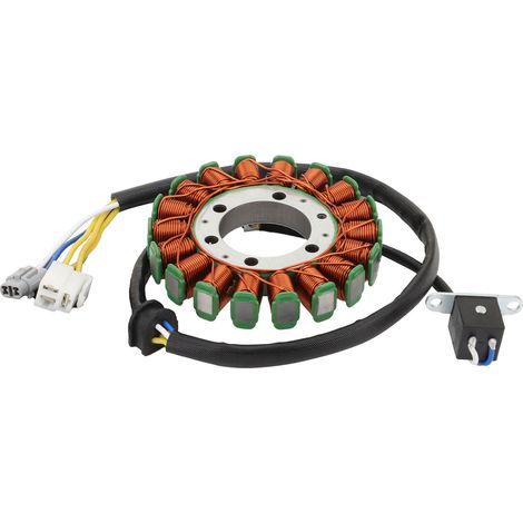 Magnetische Statorspule für SUZUKI LTR450 LT-R450 Rennquad (2006–2011) – Kompatibel mit Zündsystemteilen von Suzuki Rennquads – Ersatzteil für Goldteile (1/4)