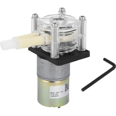 Pompe péristaltique Cadre de roue en acier inoxydable auto-amorçant Moteur à courant continu à tête transparente PC (24 V) (1/5)
