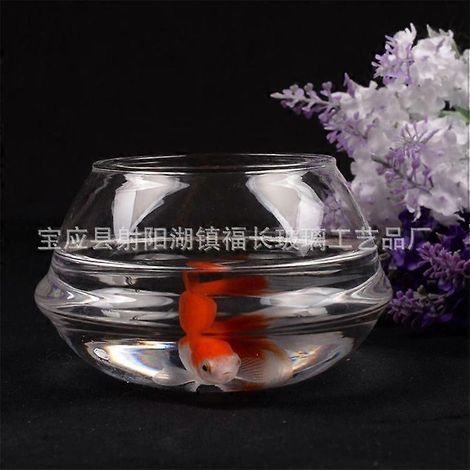 Pot de fleurs hydroponique en verre : Vase transparent en verre en forme de lotus, Décoration intérieure - Petit aquarium/pot pour plantes succulentes, Usage intérieur (1/3)