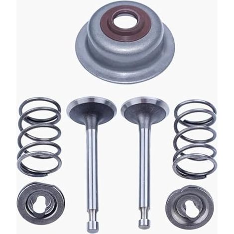 Échappement d'admission Ressort de soupape Joint de tige Trousse pour Honda GX160 GX200 168F 5.5HP 6.5HP 2kw-3kw Gaz Moteur Générateur (1/5)