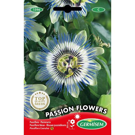 Graines Passiflore bleue PASSION FLOWERS