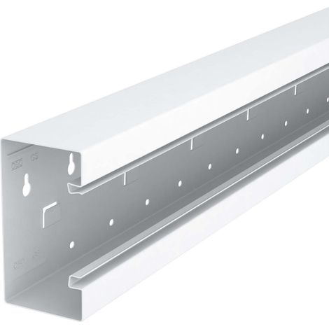 OBO Bettermann Vertr Geräteeinbaukanal o. OT symmetrisch GS-S70130RW 2 Stk (1/2)