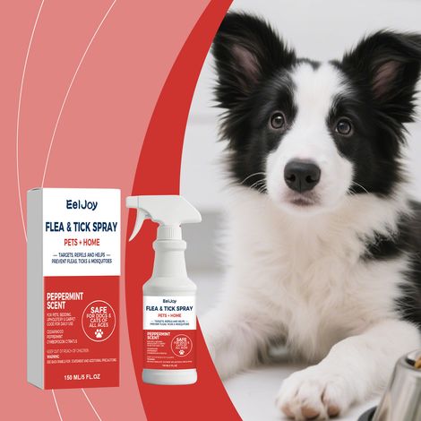 Spray de toilettage pour animaux, adapté aux chats et aux chiens, nettoie et protège le pelage, le laissant propre et frais convient à diverses occasions – 150 ml (1/5)