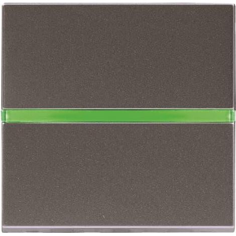 Zenit Va Et Vient Voyant Temoin Anthracite 2 Modules 2CLA220250N1801 ABB N2202.5AN