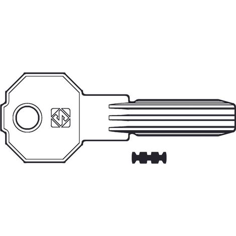 Chiavi punzonate per cilindri prefer 6 spine pf20 - pf20