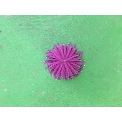 Anémone Violette Medium Décoration Aquariums (1/3)