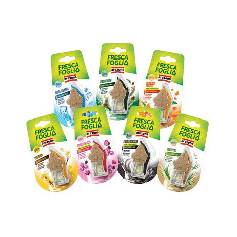 Profumatore Auto Fresca Foglia Arexons 12 Pezzi