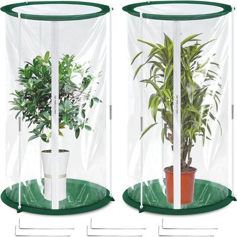 Set of 2 mini greenhouses 50 x 30 cm, winter tent for plants, small greenhouse for vegetables, flowers and mushrooms, made of transparent film, small pop-up greenhouse (1/5)