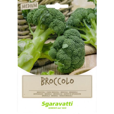 SEMI PER FAVE broccoletto novantino riccio S. Marzano - gr 100