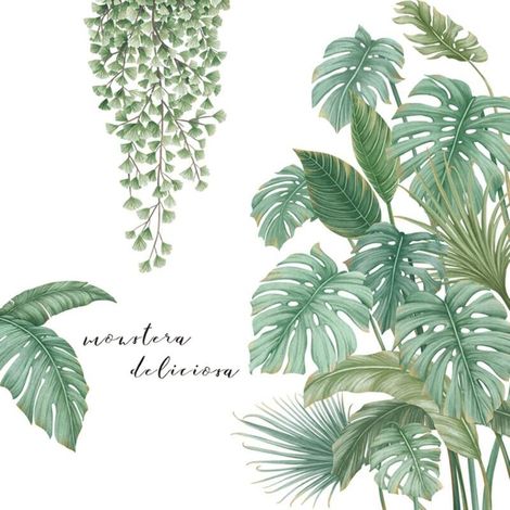 Pegatinas de pared de plantas tropicales, vinilo decorativo de pared de plantas verdes, pegatinas de pared de hojas de palmera tropical, pegatina de pared decorativa grande para sala de estar, cocina, (1/5)