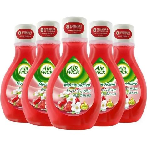Duftkerze air wick Set 5 Himbeerblüte Duft