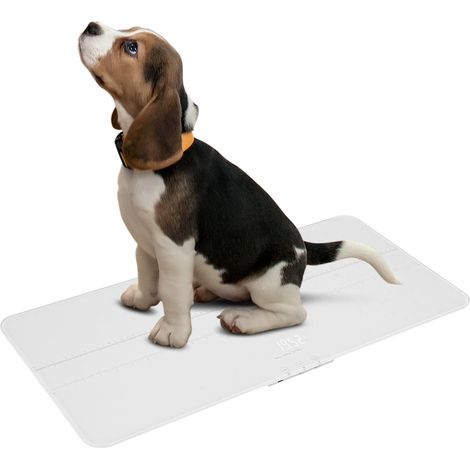 Balance numérique pour chiens et chats, grande balance pour chiens, capacité maximale de 220 livres, version rechargeable, 3 modes de pesée (livres, kg, st), précision de 10 g, 27,16 x 12,99 pouces (1/5)