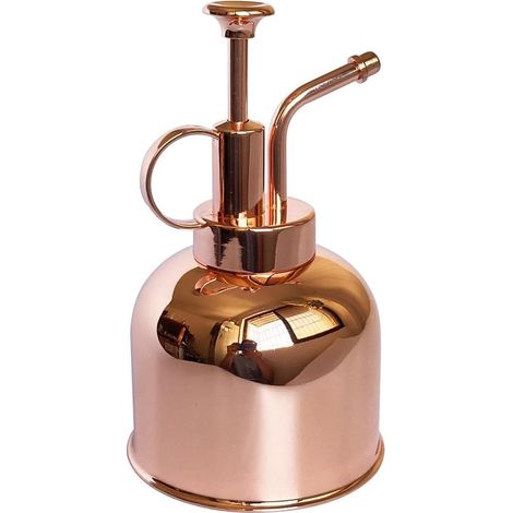 Vaporisateur en acier inoxydable (or rose, 300 ml) - Petit arrosoir - Outils de jardinage modernes pour plantes d'intérieur en pot - Arrosage et pulvérisation (1/5)