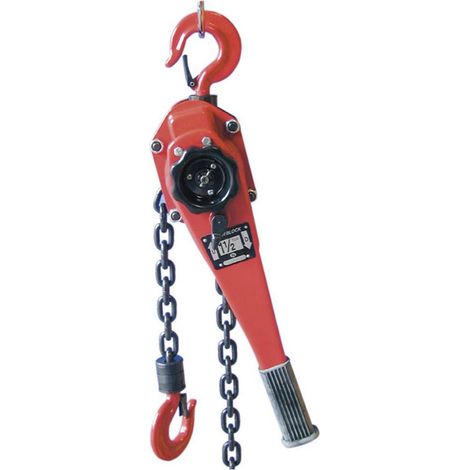 Berger + Schröter 60318 - Paranco a catena a doppio cricco 3 t