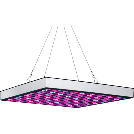 Randaco Lampe Perlen Pflanzenlampe Pflanzenlicht Zimmerpflanzen Wachstumslampe Grow Lampe,15W 225pcs
