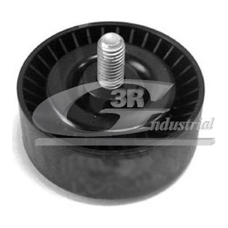 3RG 13109 RODILLO TENSOR
