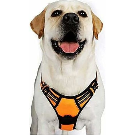 Harnais Chien XL Arnais Orange Anti Traction Réfléchissant Gilet Réglable pour Chien Grand Taille, Attache Devant Crochet de Laisse pour Trajet Voiture, American Staff, Border Collier-Ensoleillé (1/5)