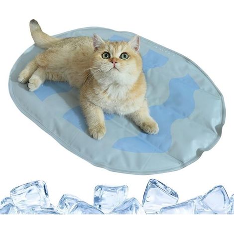 Tapis Rafraîchissant Pour Chiens d'Intérieur - Coussinet Rafraîchissant (1/4)